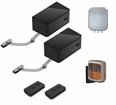 Автоматика для распашных ворот DOORHAN ARM-320PRO/Black-KIT-LA, комплект: 2 привода, блок управления, 2 пульта, лампа